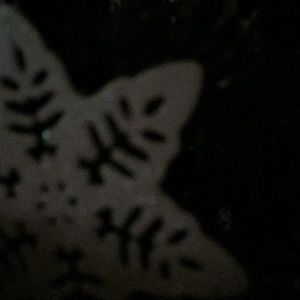 Meet your Posher, Cory